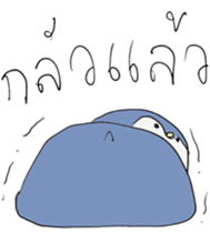 12224047
