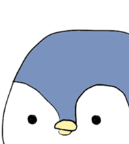 12224048