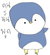12224051