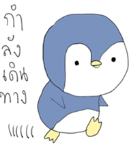 12224060