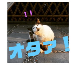 122242395