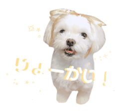 122297374