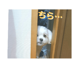 122297387