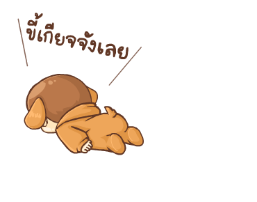 ลายที่ 13