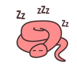 12248048