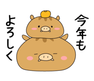 122550081