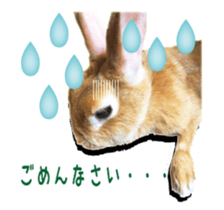 122568268
