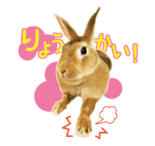 122568271