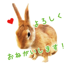 122568274