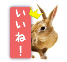 122568277