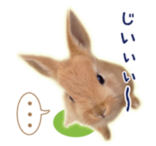 122568287