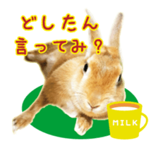 122568290