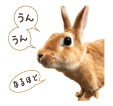 122568291