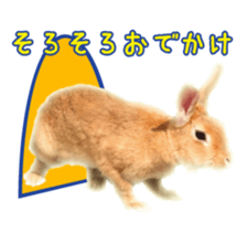 122568292