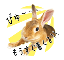 122568293