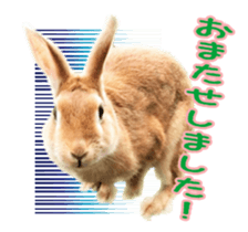 122568295