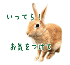 122568296