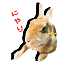 122568297