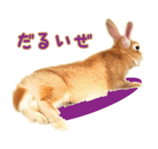 122568301