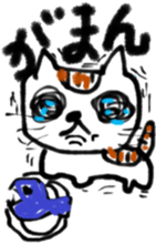 12260298