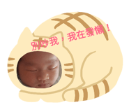 122950085