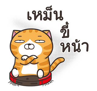 เหมียวซ่า : ทั้งใหญ่ทั้งดัง รูปที่ 2