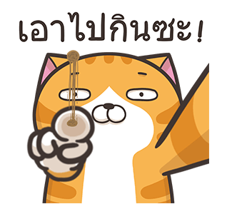 เหมียวซ่า : ทั้งใหญ่ทั้งดัง รูปที่ 5
