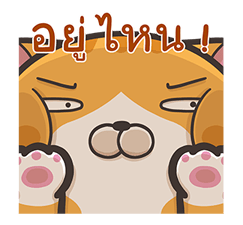 12301544