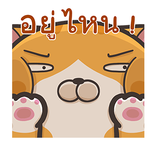 เหมียวซ่า : ทั้งใหญ่ทั้งดัง รูปที่ 11