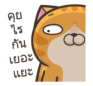 เหมียวซ่า : ทั้งใหญ่ทั้งดัง รูปที่ 13