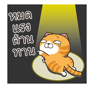 เหมียวซ่า : ทั้งใหญ่ทั้งดัง รูปที่ 14