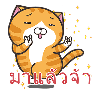 เหมียวซ่า : ทั้งใหญ่ทั้งดัง รูปที่ 16