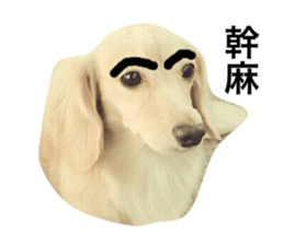 123029656