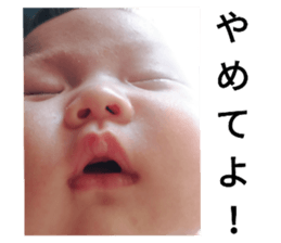 123082384