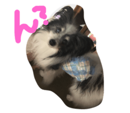 123087249