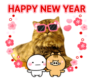 123120567