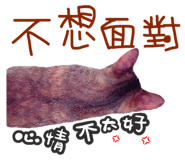 123120569
