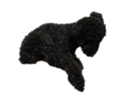 123138917