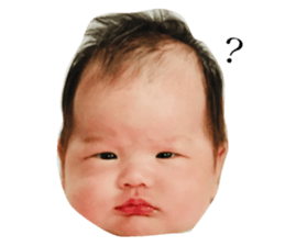 123173152