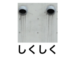 123206161