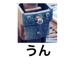 123206162