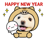 123259061