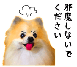 12333538