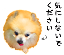 12333540