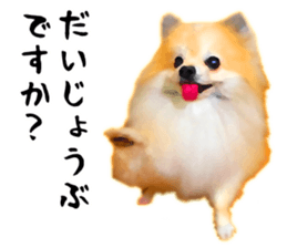 12333541