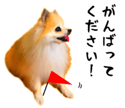 12333542