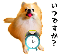 12333545