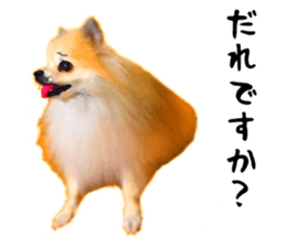 12333546