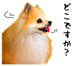 12333547