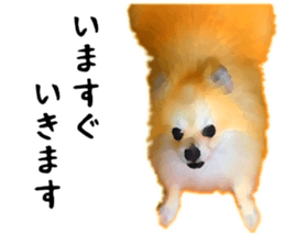 12333553